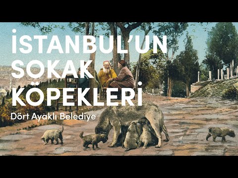 Videoyu YouTube'da izle